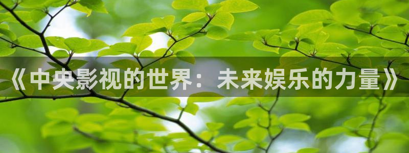 紅葉影院：《中央影視的世界：未來(lái)娛樂(lè)的力量》