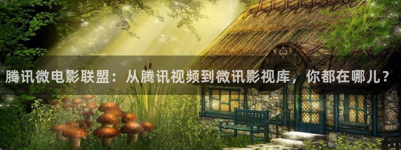 紅葉影城今日影訊：騰訊微電影聯盟：從騰訊視頻到微訊影視庫，你都在哪兒？