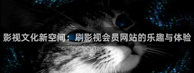 紅葉電影：影視文化新空間：刷影視會員網站的樂趣與體驗