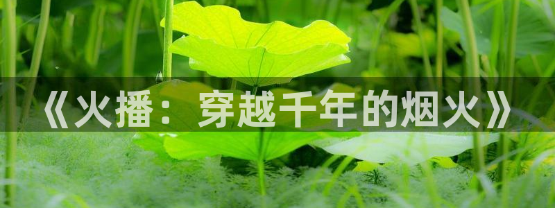 紅葉影視下載：《火播：穿越千年的煙火》