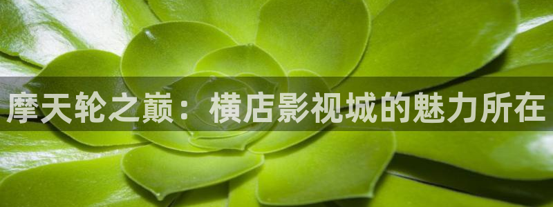 紅葉電影今日影訊：摩天輪之巔：橫店影視城的魅力所在